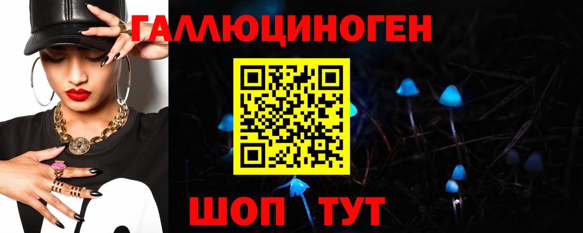 Псилоцибиновые грибы Psilocybe Татарск